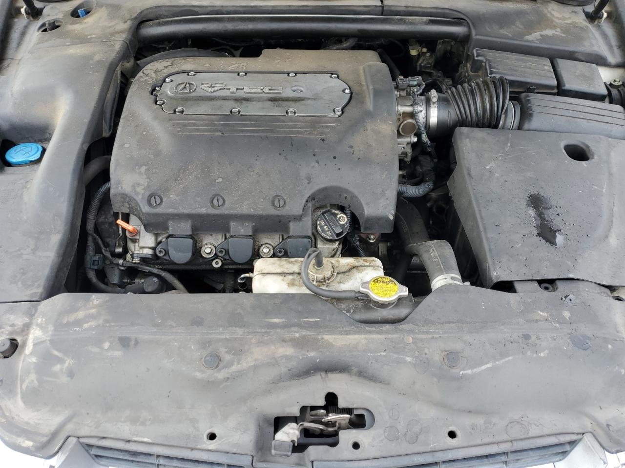2006 Acura 3.2Tl VIN: 19UUA66266A053137 Lot: 90751145
