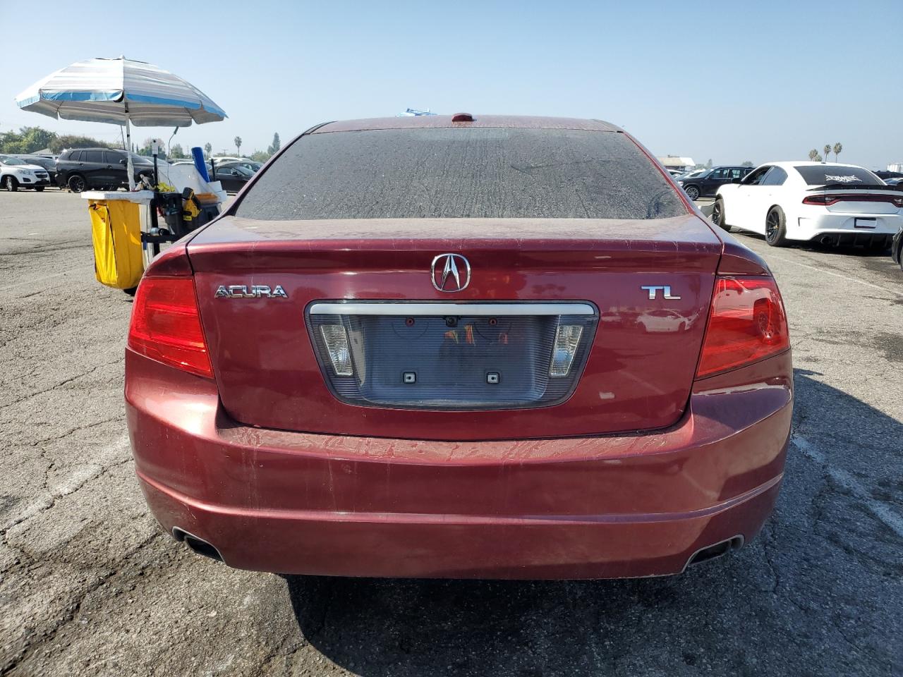 2006 Acura 3.2Tl VIN: 19UUA66296A028829 Lot: 91251855