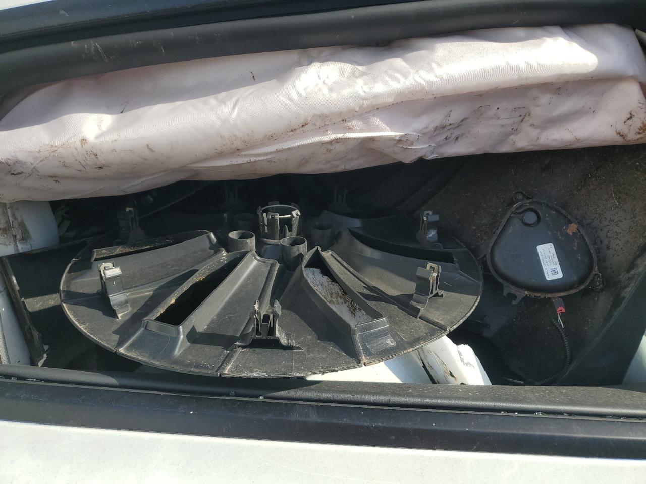 2024 Tesla Model Y VIN: 7SAYGDEE9RF179182 Lot: 92398325