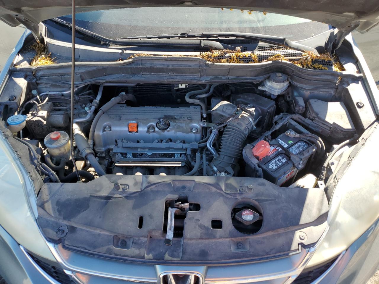 2010 Honda Cr-V Exl VIN: 5J6RE3H79AL050983 Lot: 85393605