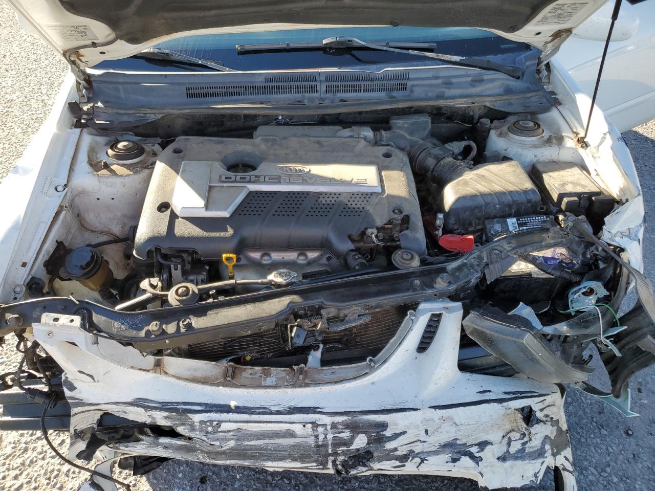 2005 Kia Spectra Lx VIN: KNAFE121955141826 Lot: 91620435