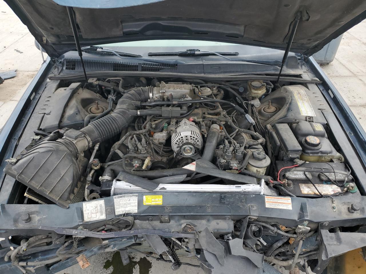 1997 Ford Thunderbird Lx VIN: 1FALP62W2VH165124 Lot: 93355715