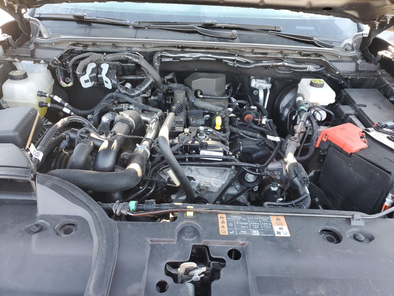 2024 Ford Ranger Xlt VIN: 1FTER4HH7RLE07483 Lot: 93054545