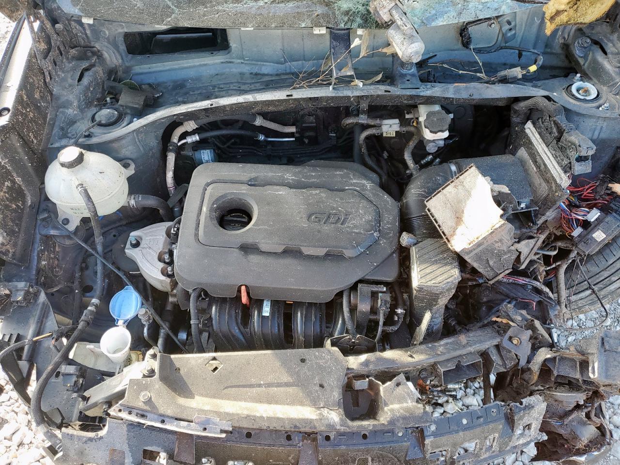 2019 Kia Sportage Ex VIN: KNDPN3AC8K7567920 Lot: 92300815