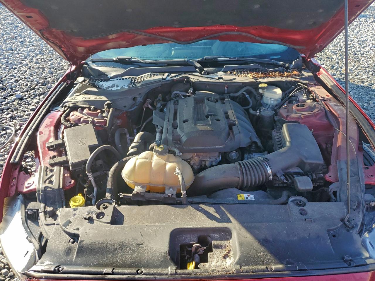 2017 Ford Mustang VIN: 1FA6P8TH7H5264004 Lot: 94472675