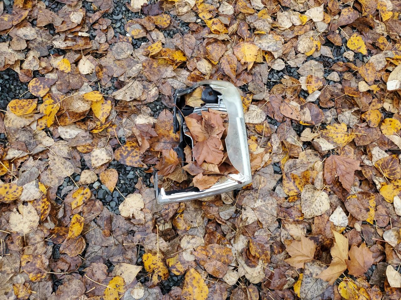 2010 Ford F150 VIN: 1FTMF1CW2AKA20925 Lot: 93473055