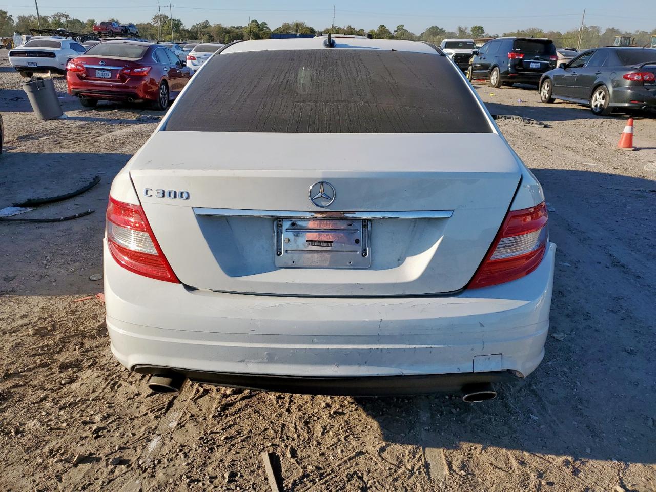 2010 Mercedes-Benz C 300 VIN: WDDGF5EB7AR129716 Lot: 91339455