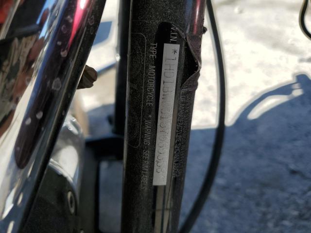 2005 HARLEY-DAVIDSON FLSTCI   