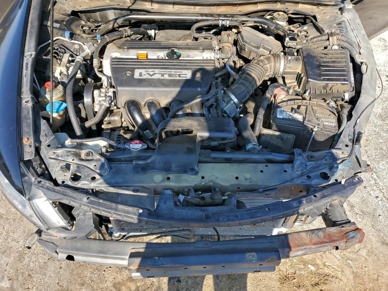 2009 Honda Accord Exl VIN: 1HGCS12819A002459 Lot: 93975225