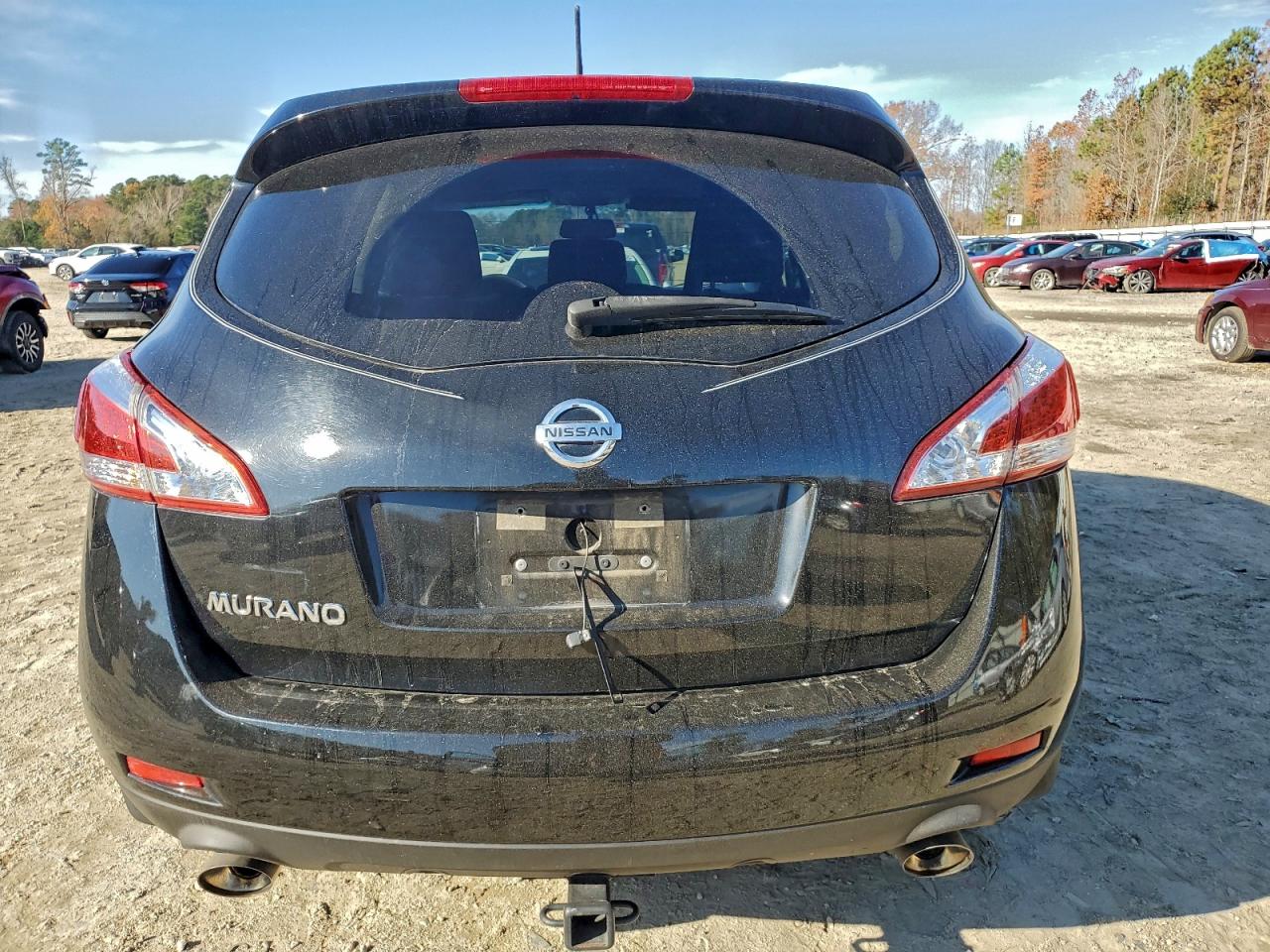 2013 Nissan Murano S VIN: JN8AZ1MU8DW206445 Lot: 93914945