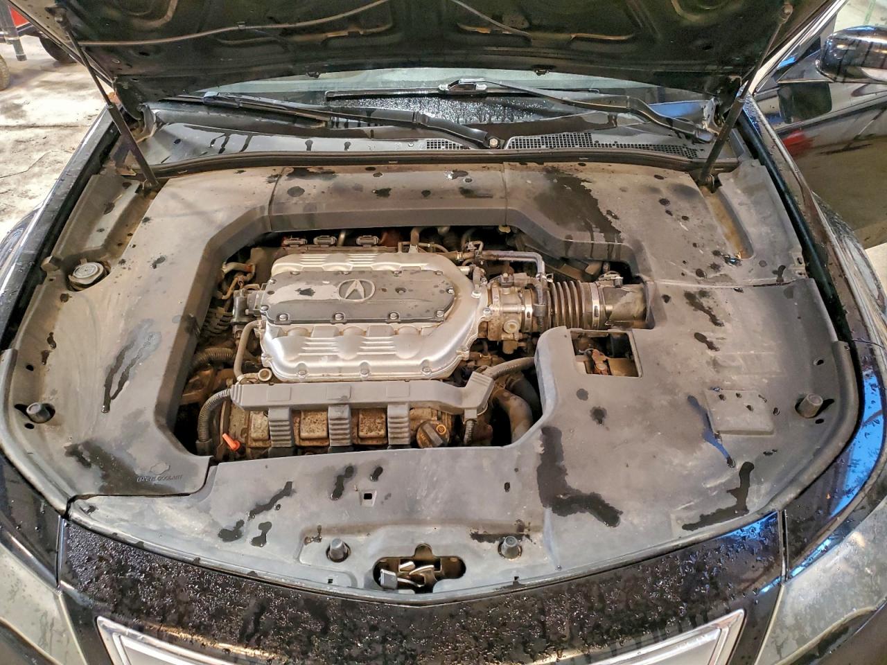 2012 Acura Tl VIN: 19UUA8F57CA800200 Lot: 92380005