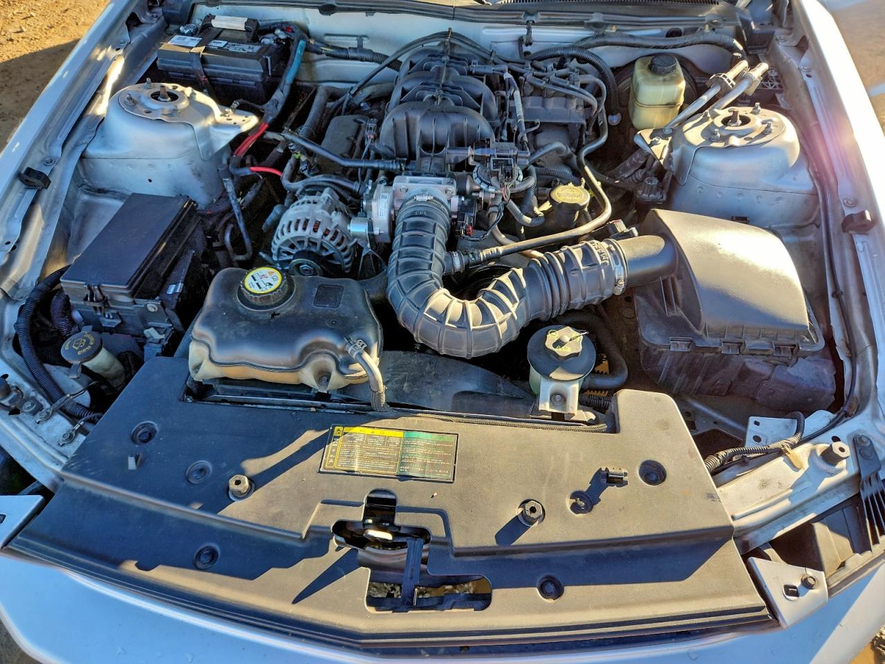 2006 Ford Mustang VIN: 1ZVFT80N265183258 Lot: 93652515