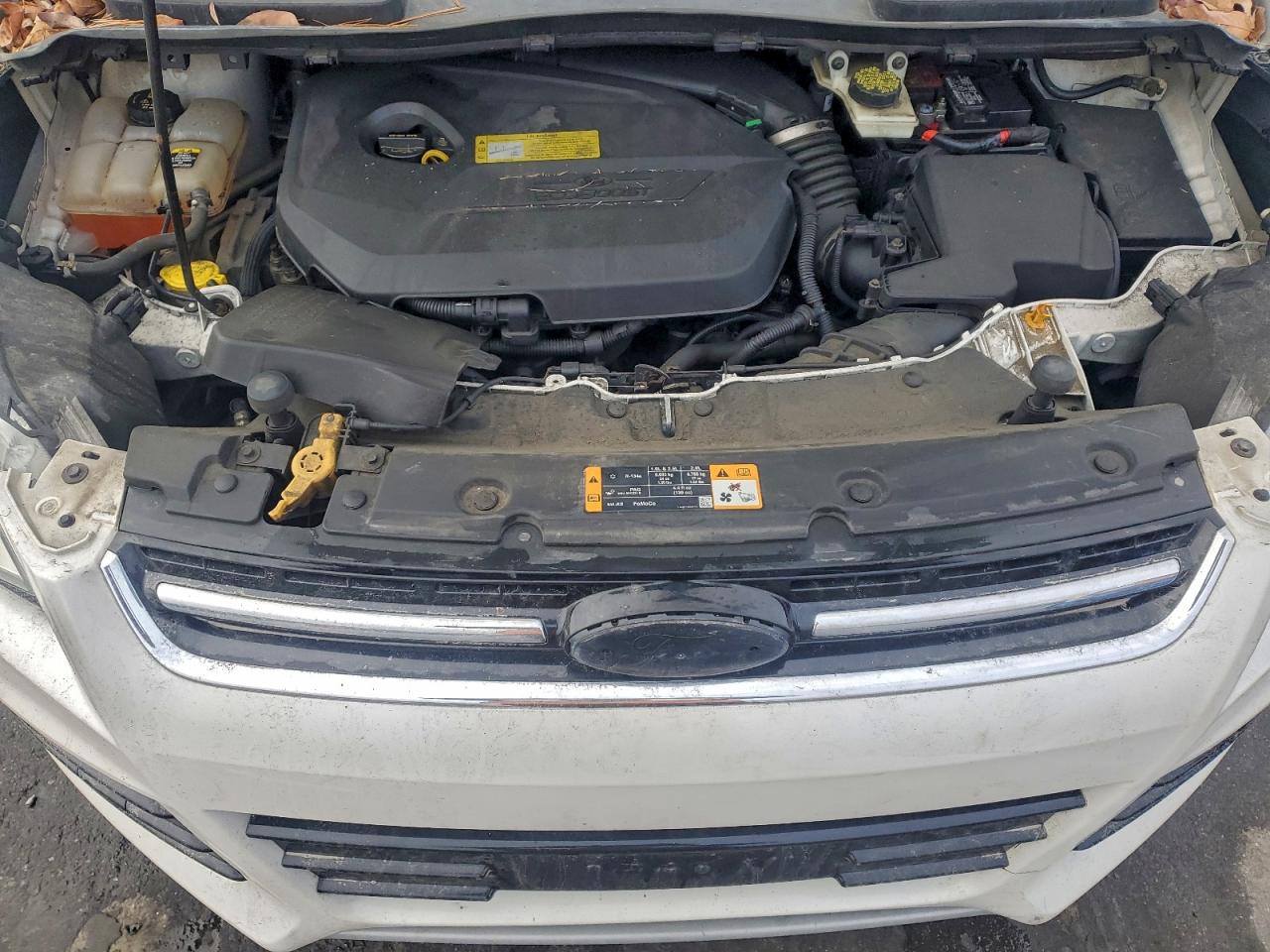 2013 Ford Escape Sel VIN: 1FMCU0HX9DUA81139 Lot: 94527175