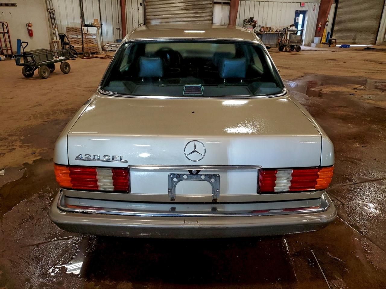 1986 Mercedes-Benz 420 Sel VIN: WDBCA35D2GA246302 Lot: 87239744