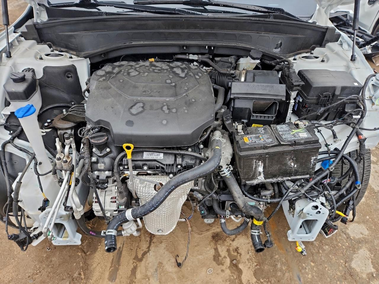 2024 Kia Telluride S VIN: 5XYP6DGC2RG542177 Lot: 93783555