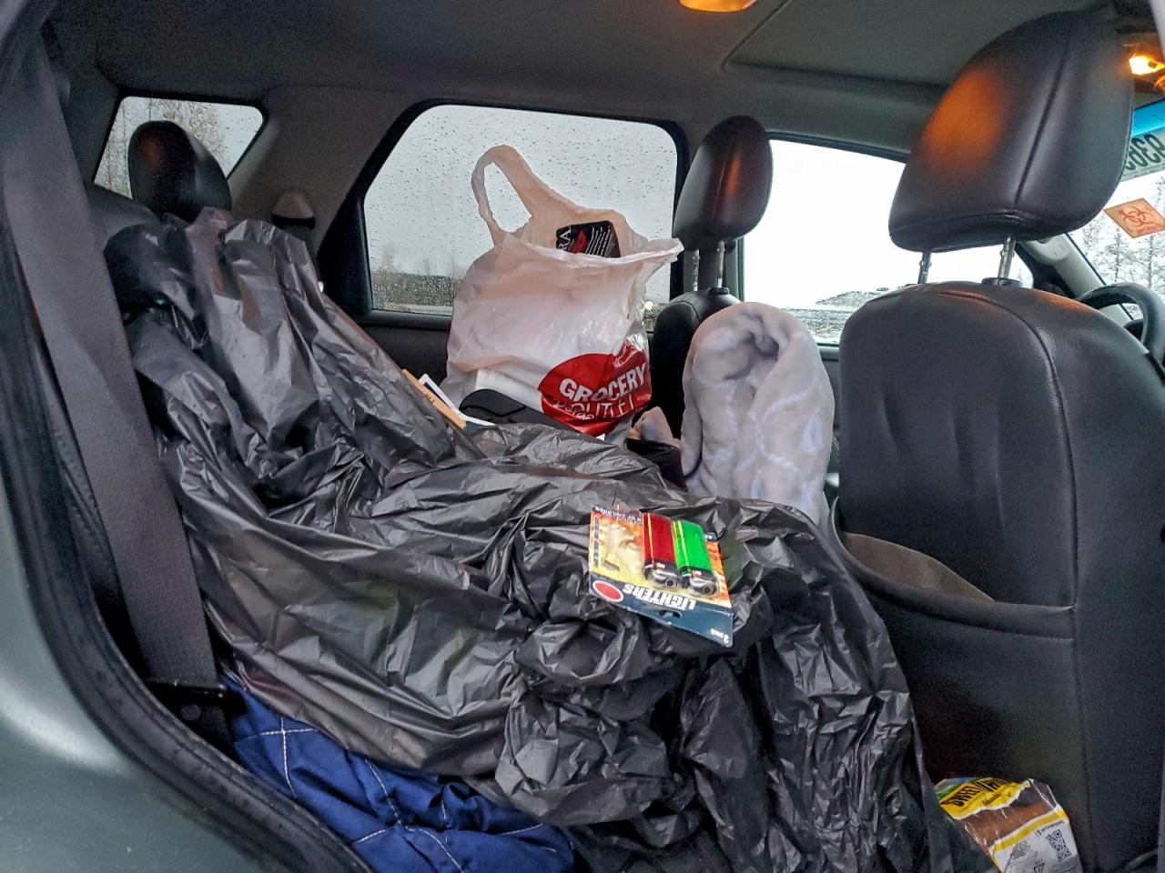 2006 Ford Escape Hev VIN: 1FMCU96H96KB68361 Lot: 93653945