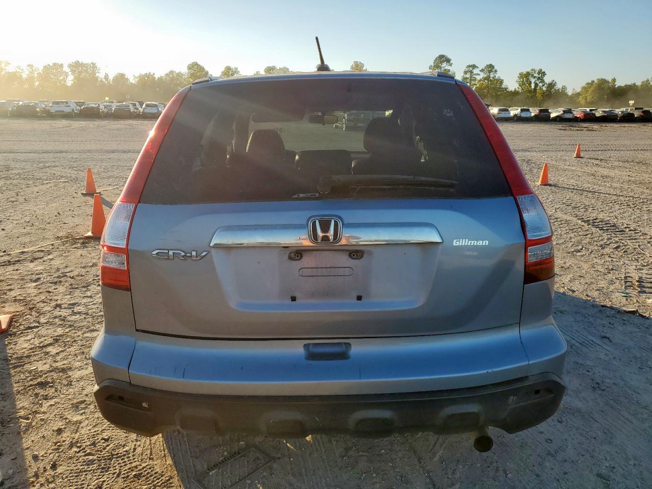 2008 Honda Cr-V Exl VIN: JHLRE48768C021448 Lot: 91013105