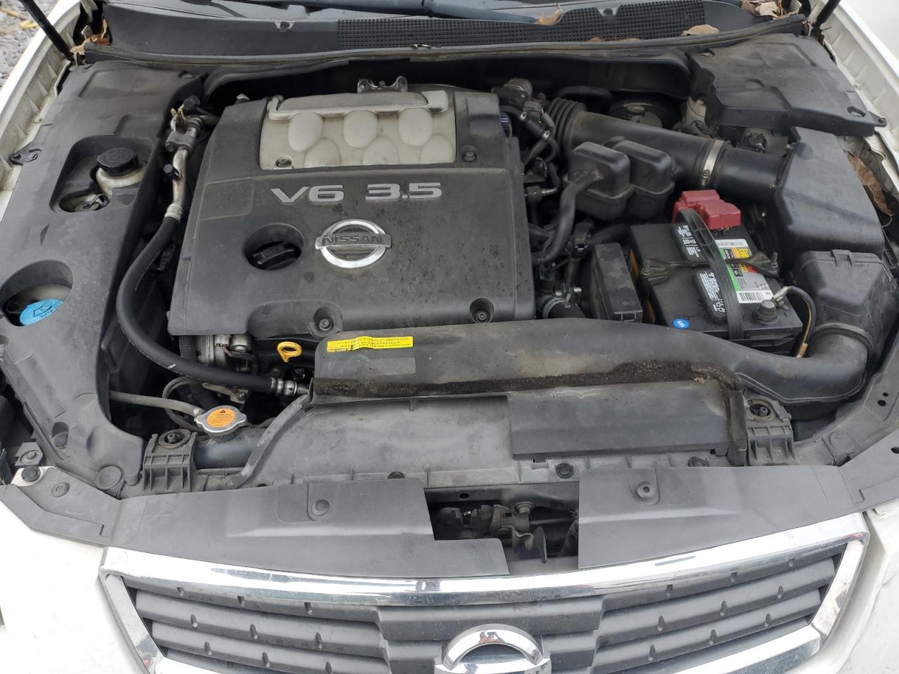 2008 Nissan Maxima Se VIN: 1N4BA41E08C831036 Lot: 93425605