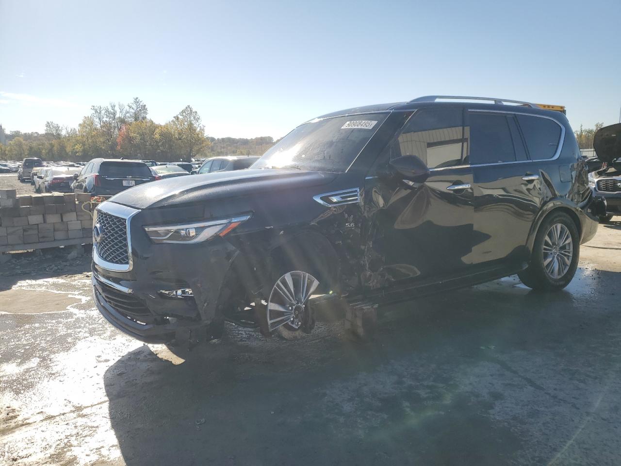 2019 Infiniti Qx80 Luxe