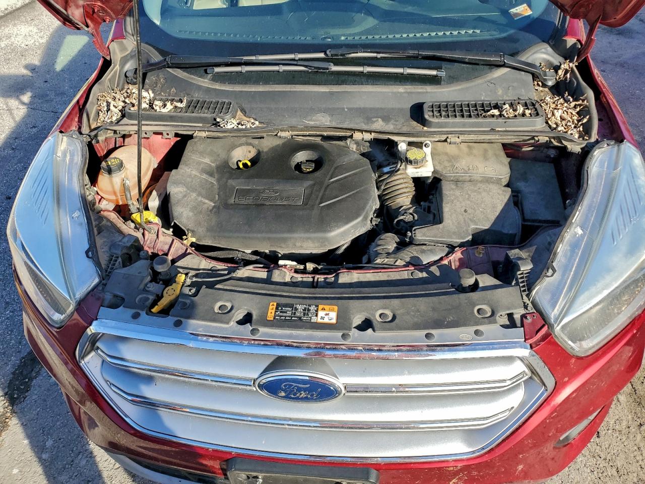 2017 Ford Escape Se VIN: 1FMCU0G97HUA81651 Lot: 94479705