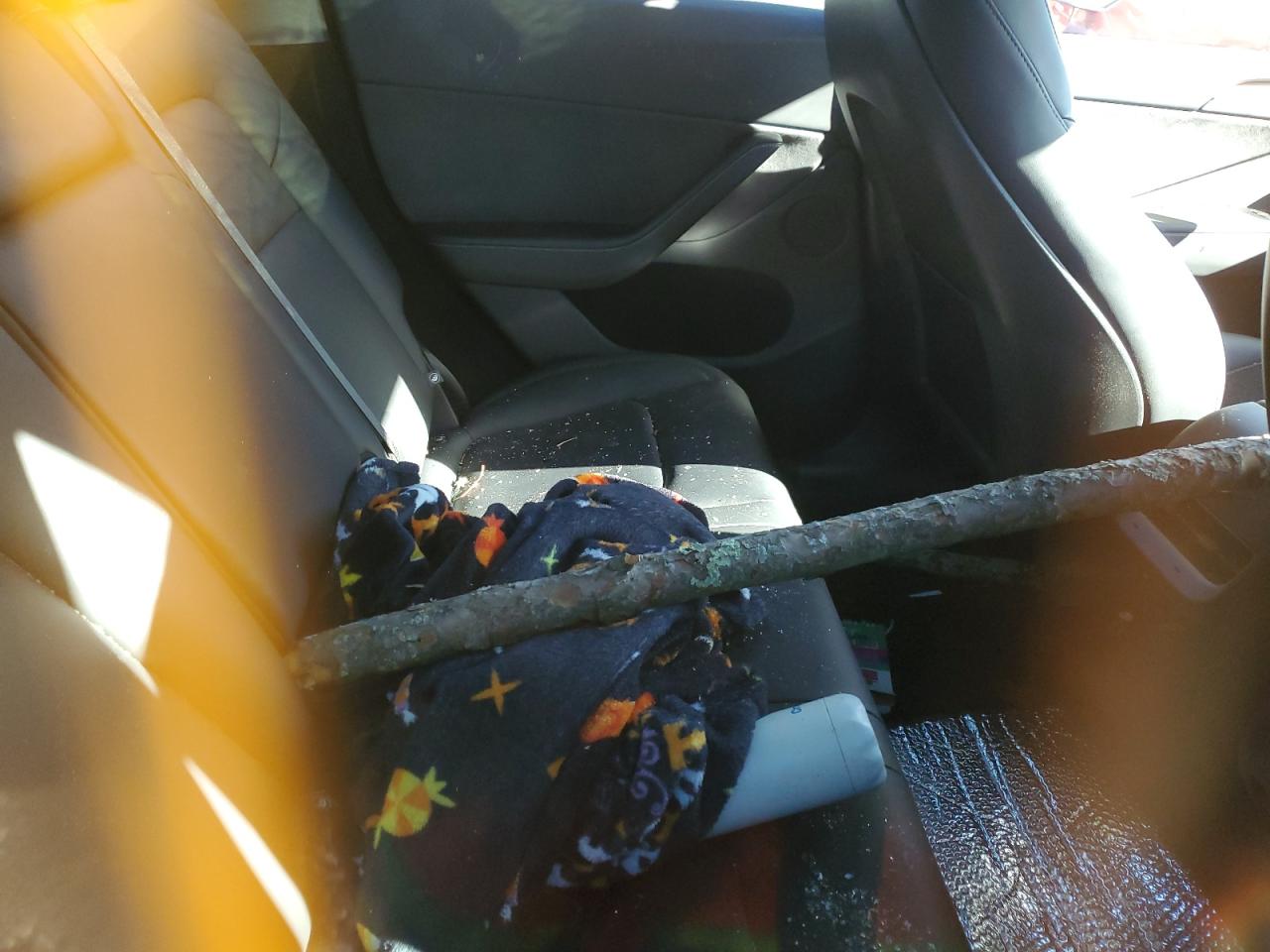 2024 Tesla Model Y VIN: 7SAYGDEE3RA326805 Lot: 91969575