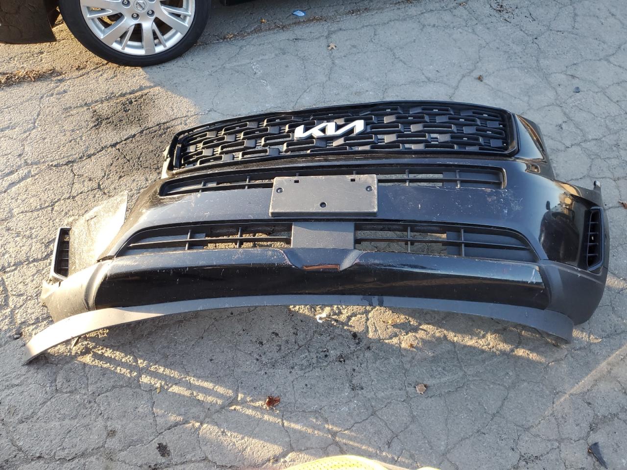 2022 Kia Telluride Ex VIN: 5XYP3DHC1NG205212 Lot: 93228625