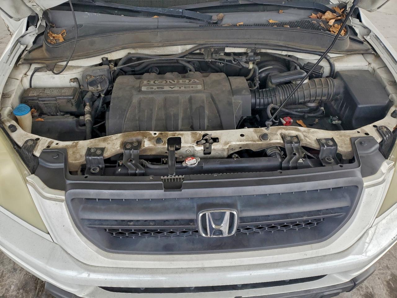 2005 Honda Pilot Exl VIN: 5FNYF18515B030835 Lot: 94224905