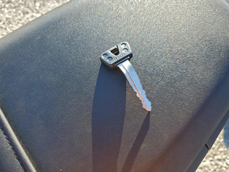 2025 YAMAHA MTN690 C  