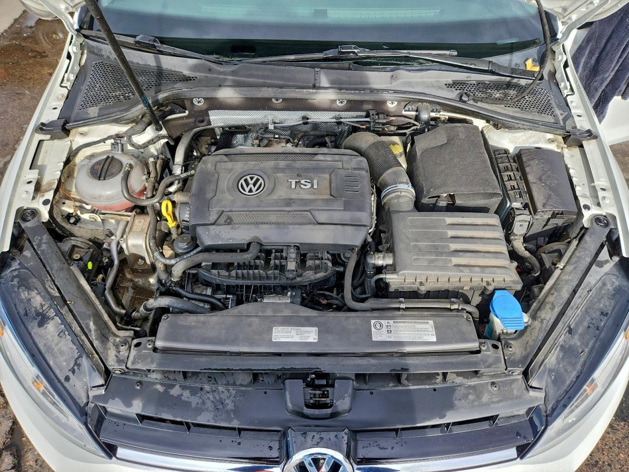 2017 Volkswagen Golf Sportwagen S VIN: 3VWC17AU5HM503582 Lot: 94192045