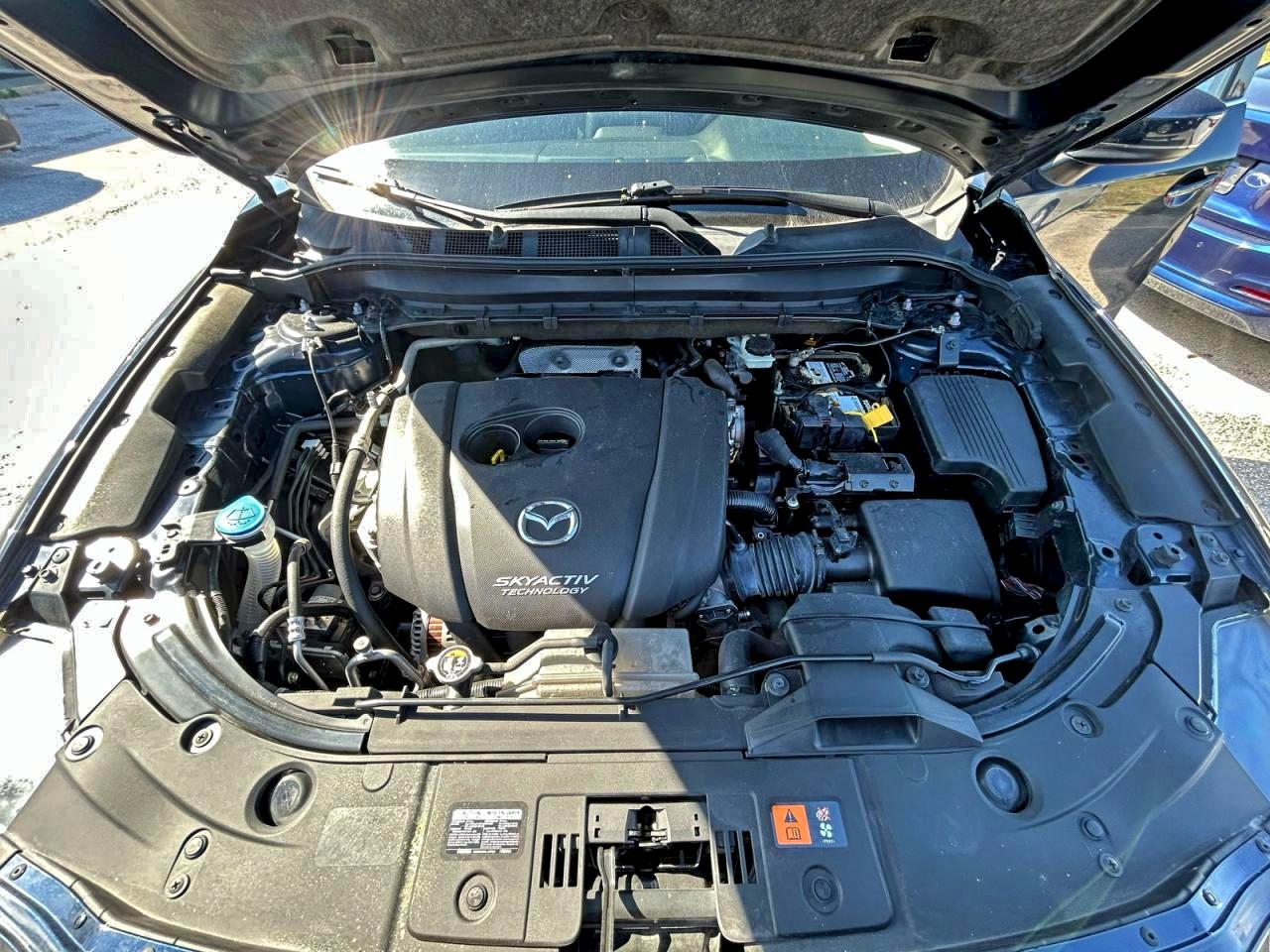 Фото: JM3KFADM0K1523596