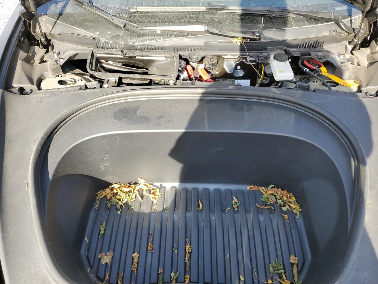 2024 Tesla Model 3 VIN: 5YJ3E1ET1RF842089 Lot: 92467205