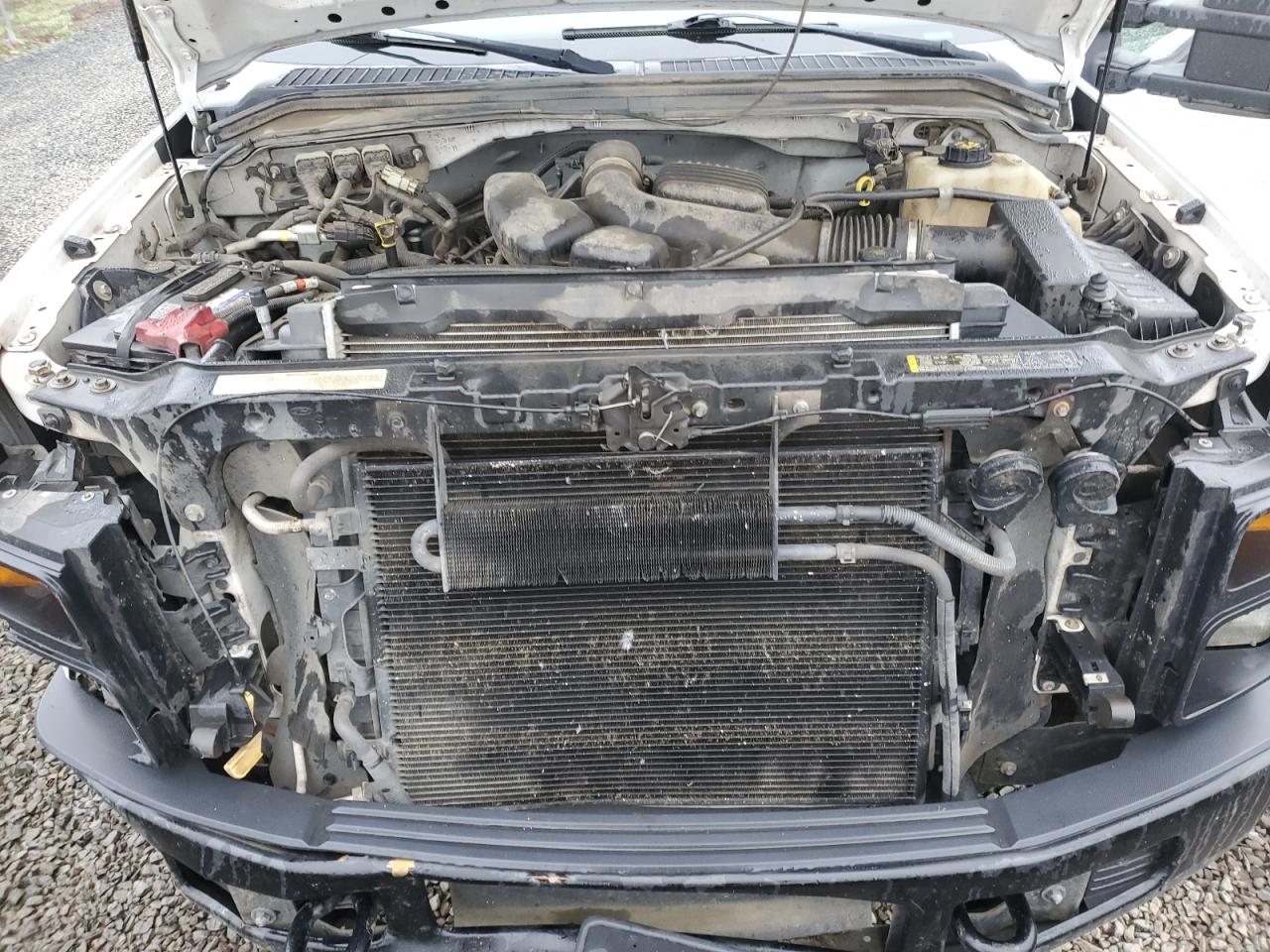 2009 Ford F250 Super Duty VIN: 1FTSX20569EA92923 Lot: 93087105