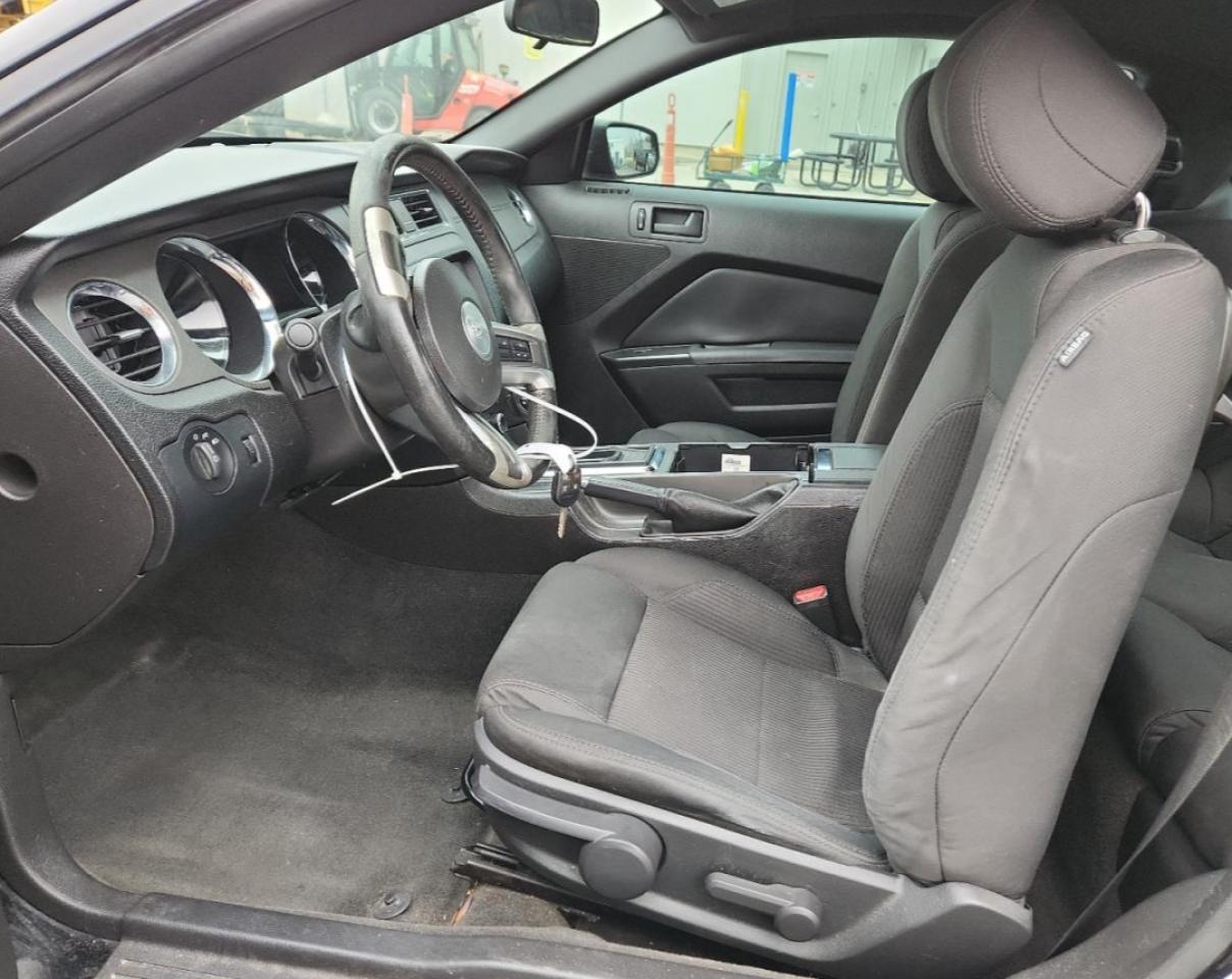 2013 Ford Mustang VIN: 1ZVBP8AM7D5229768 Lot: 93453255