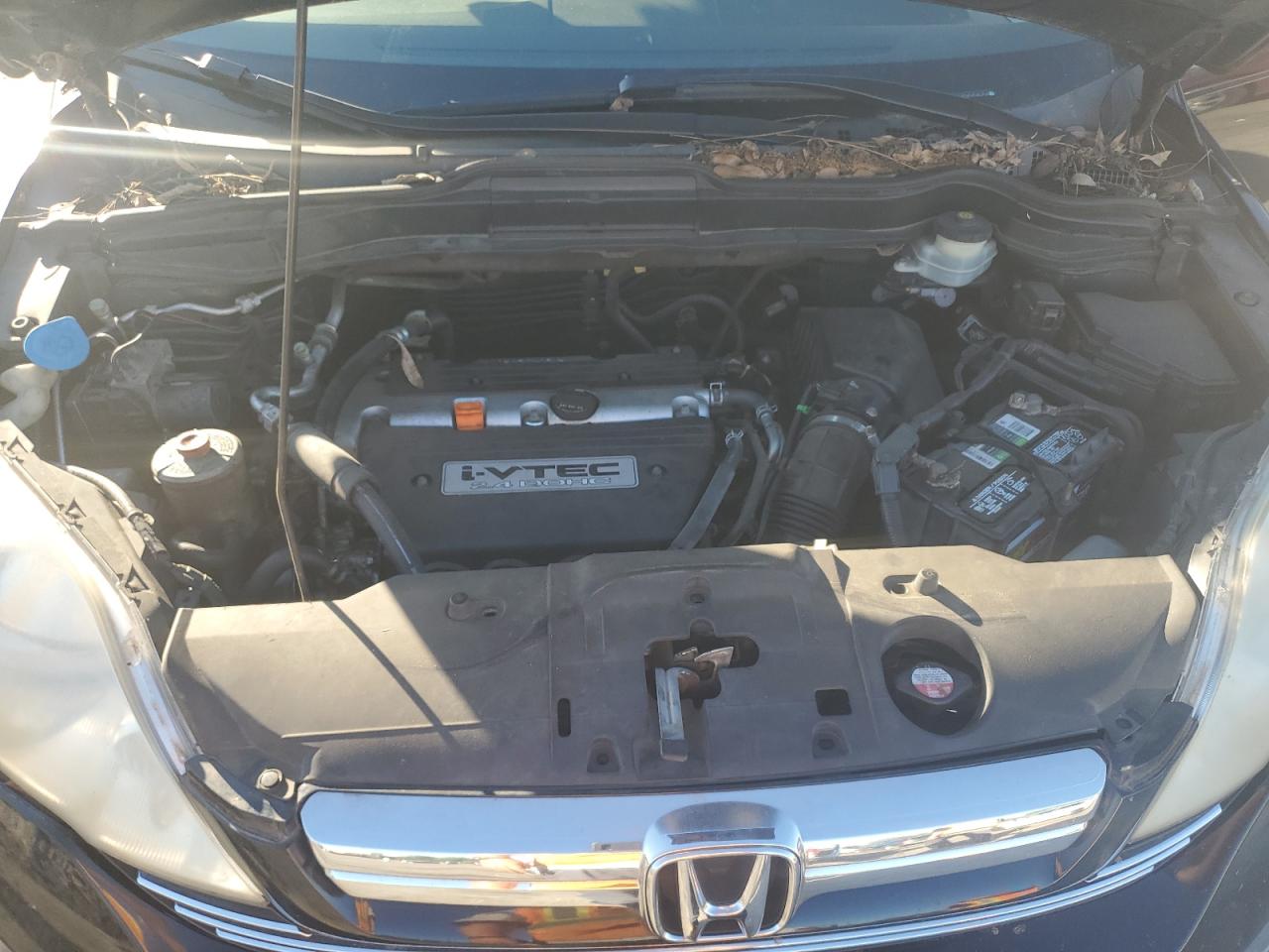 2007 Honda Cr-V Exl VIN: JHLRE38787C003204 Lot: 90525185