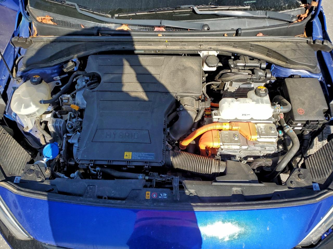 2019 Hyundai Ioniq Blue VIN: KMHC65LC5KU113612 Lot: 94238975