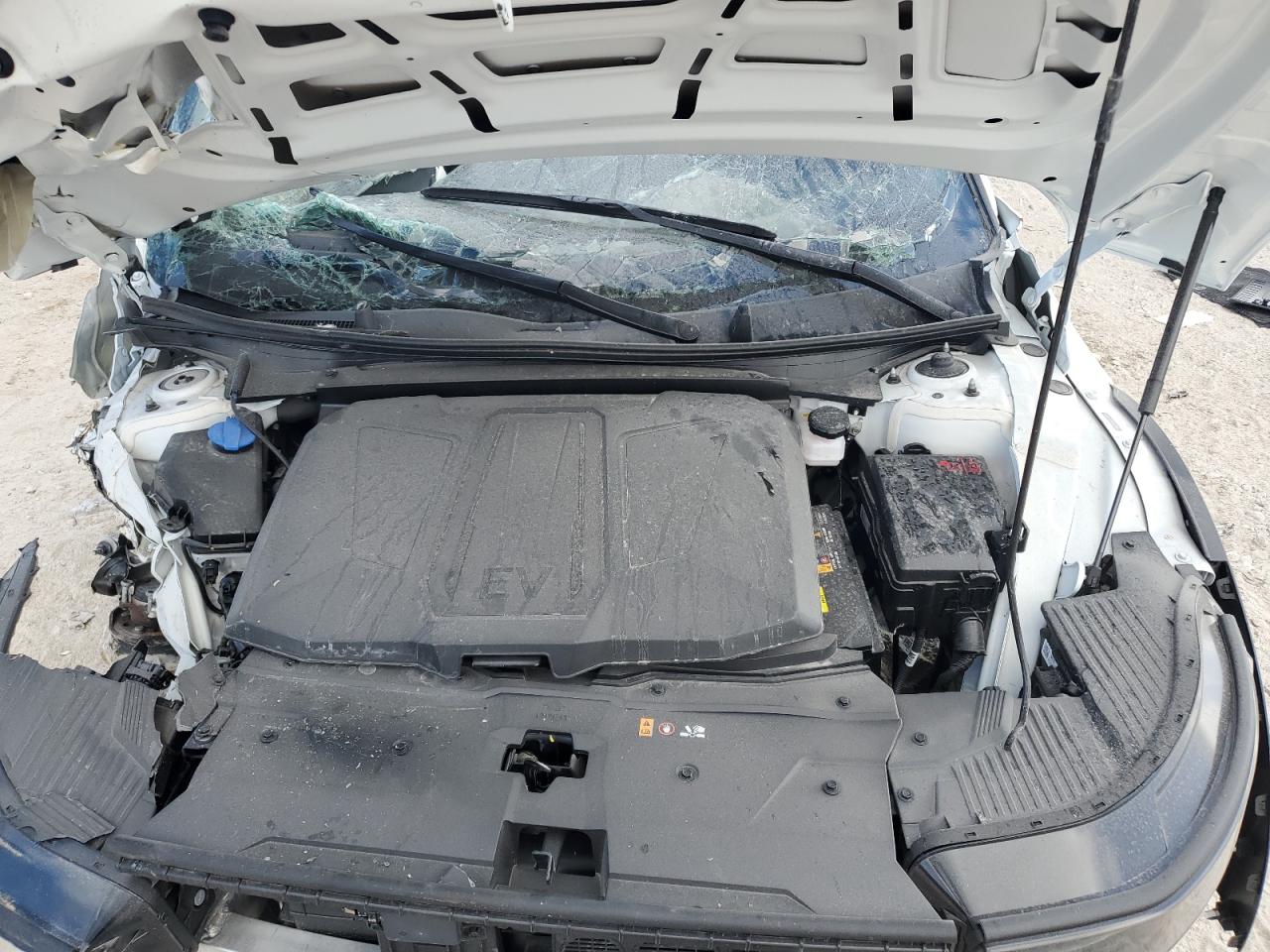 2025 Hyundai Ioniq 5 Se VIN: 7YAKM4DA2SY029794 Lot: 92128405