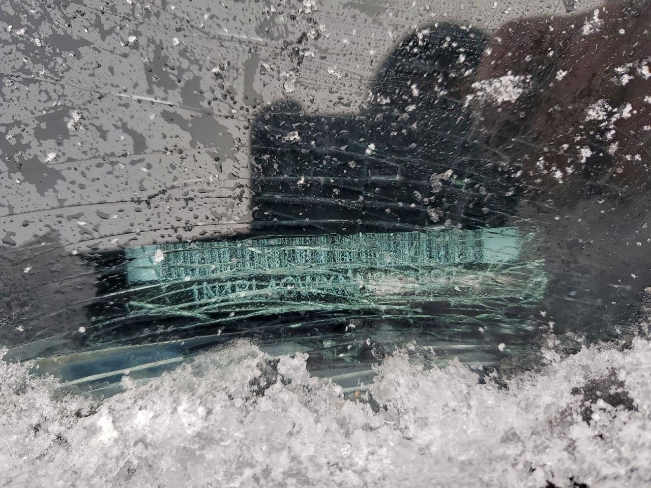 2022 Nissan Altima Sr VIN: 1N4BL4CWXNN367897 Lot: 93466925