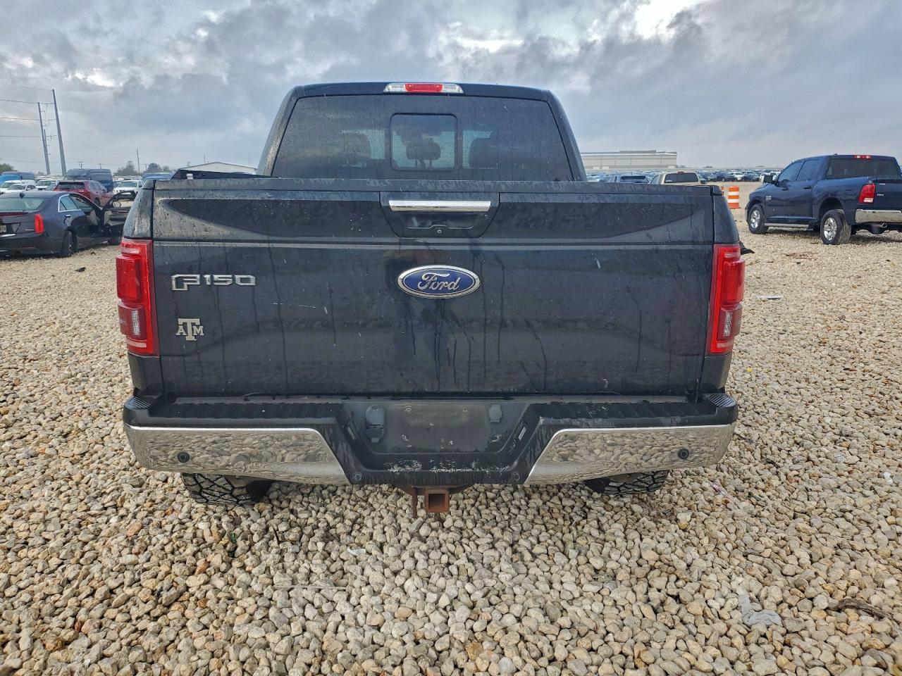 2016 Ford F150 Supercrew VIN: 1FTEW1EG2GFC99823 Lot: 94138245