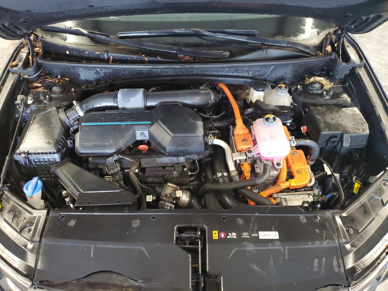 2024 Hyundai Tucson N Line VIN: KM8JFCD1XRU170603 Lot: 90787365