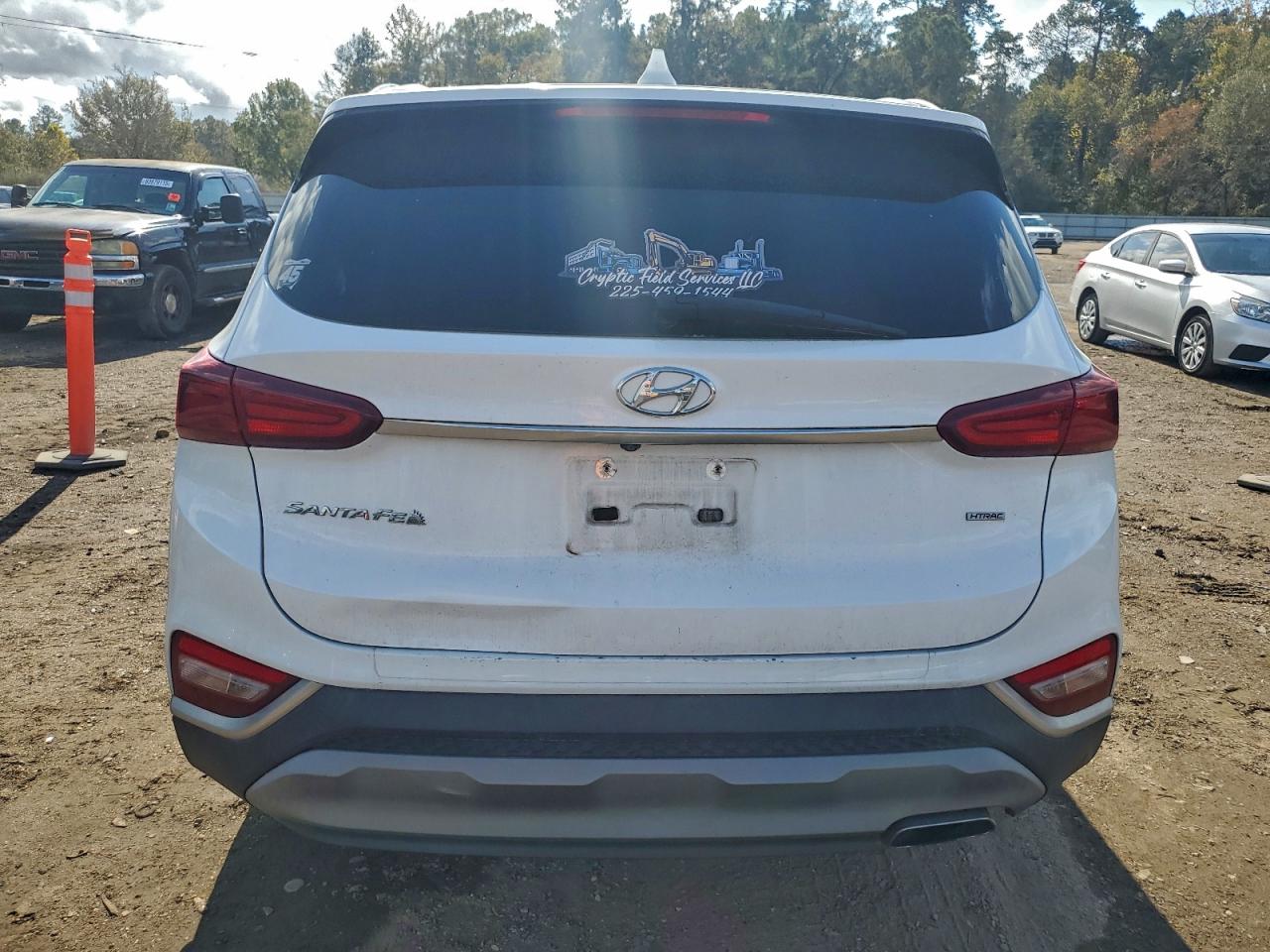 2020 Hyundai Santa Fe Sel VIN: 5NMS3CAD5LH271319 Lot: 93922285