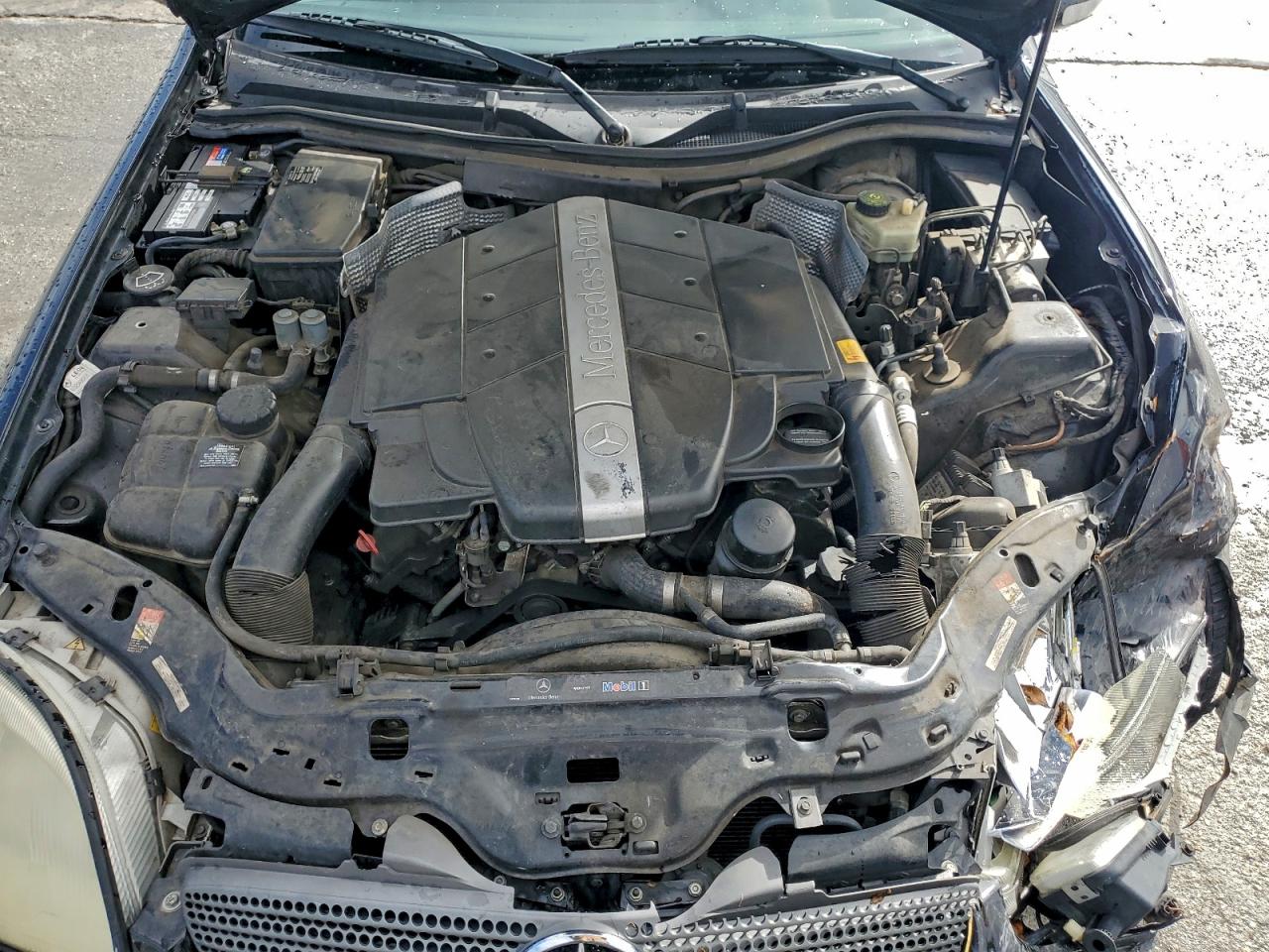 2003 Mercedes-Benz Slk 320 VIN: WDBKK65F03F290288 Lot: 93716355