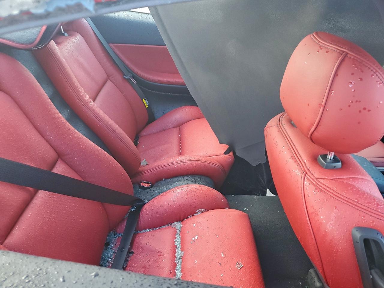 2004 Pontiac Gto VIN: 6G2VX12G04L232756 Lot: 94552105