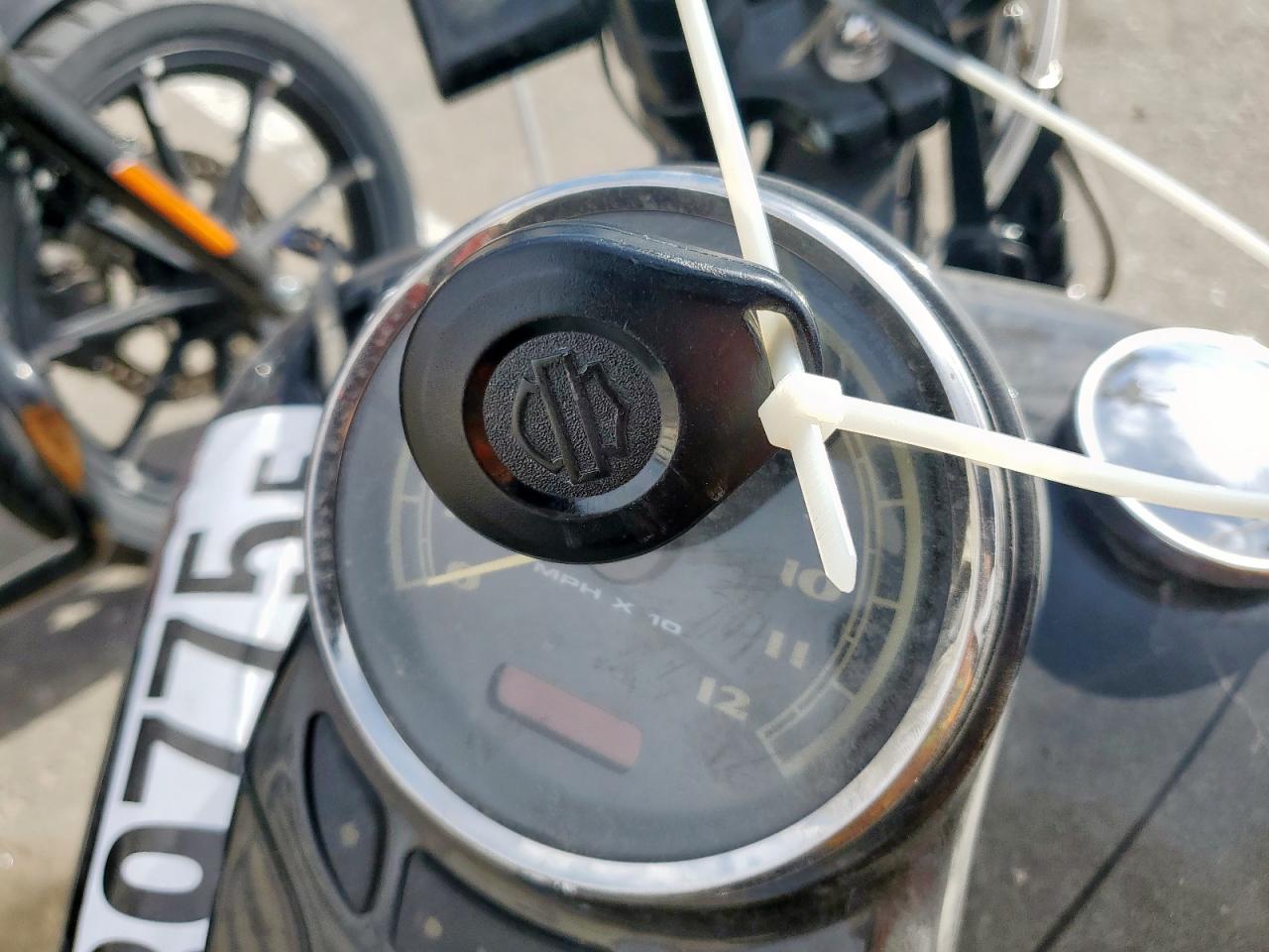 2009 Harley-Davidson Flstsb VIN: 1HD1JM5139Y045795 Lot: 86339775