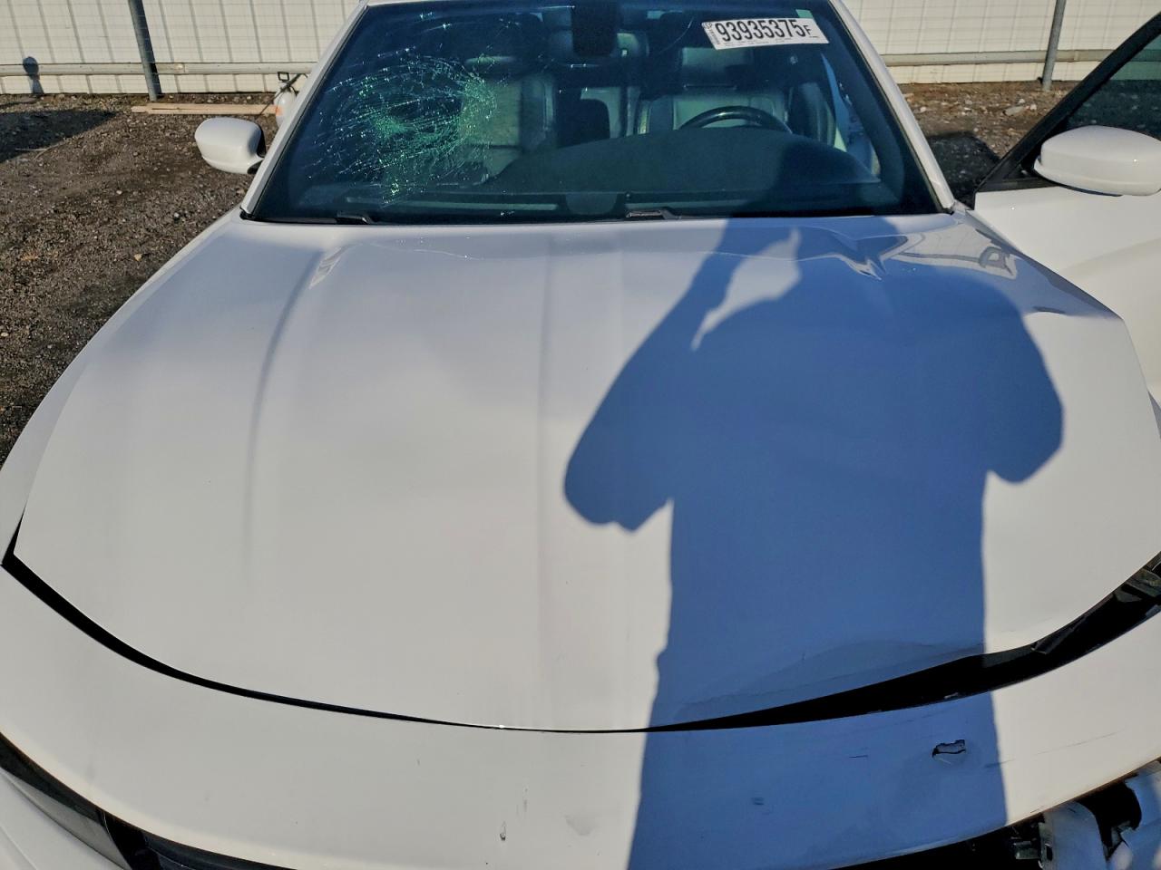 2015 Dodge Charger Sxt VIN: 2C3CDXJG7FH813785 Lot: 93935375