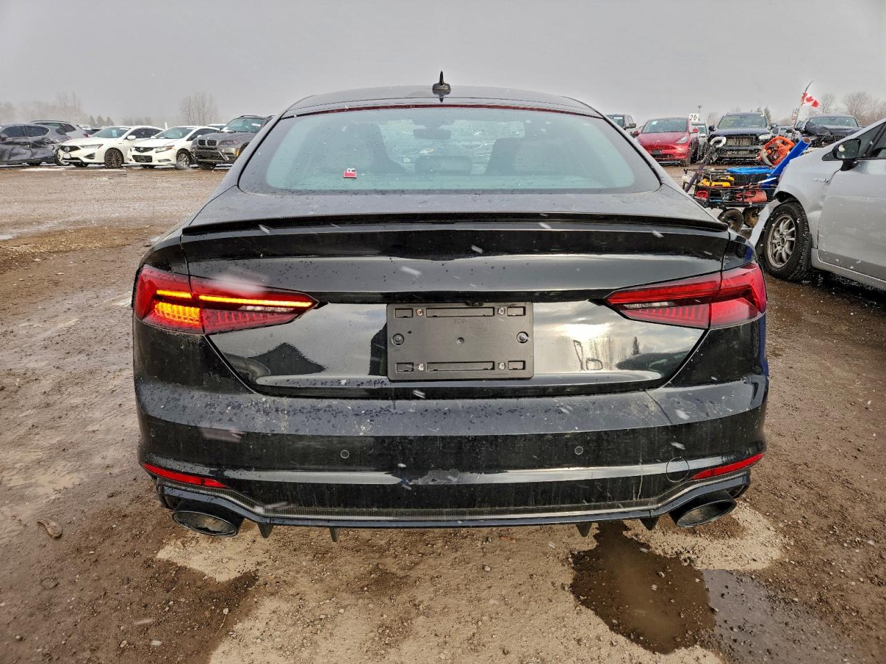 2019 Audi Rs5 VIN: WUACWCF57KA900992 Lot: 91773995