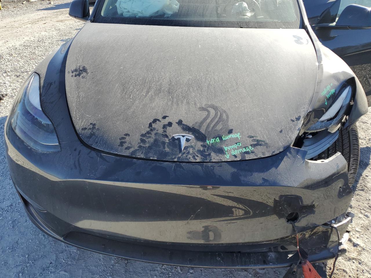 2024 Tesla Model Y VIN: 7SAYGAEE9RF070204 Lot: 91566045