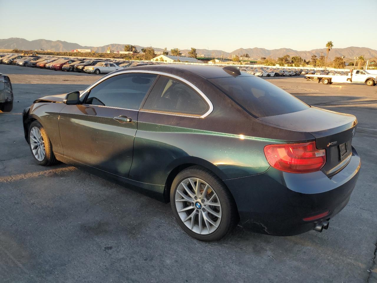 Фото: WBA1F7C56FV367593