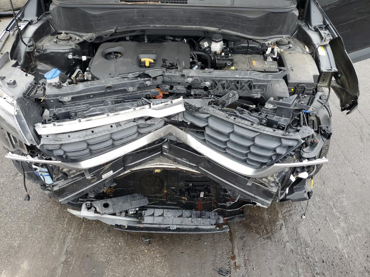 2023 Kia Seltos Lx VIN: KNDEPCAA1P7432298 Lot: 92010205