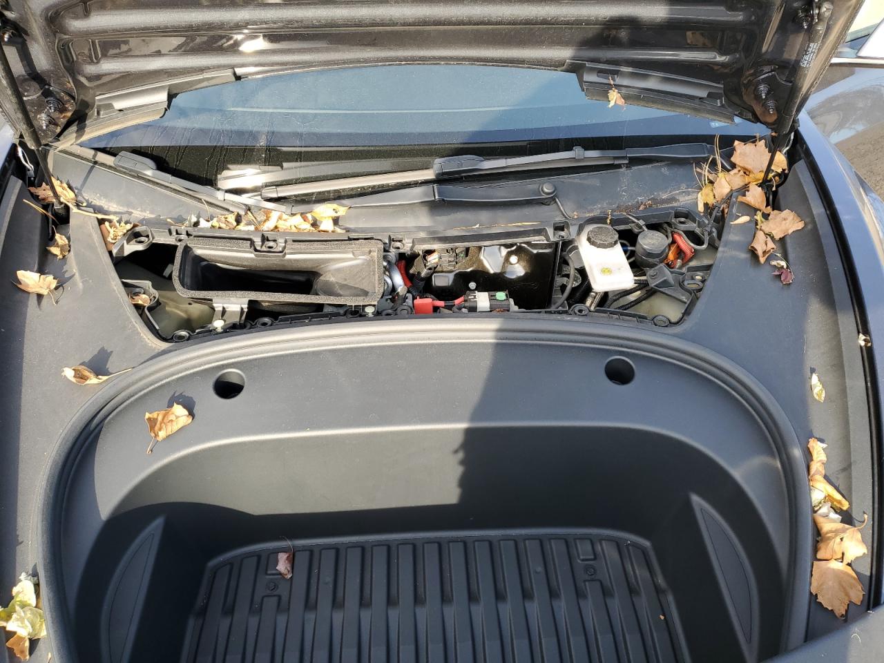 2022 Tesla Model 3 VIN: 5YJ3E1EB7NF167804 Lot: 93029165