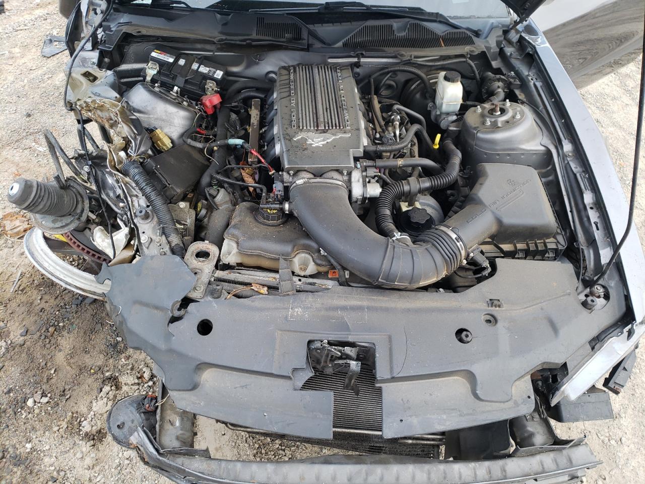 2010 Ford Mustang Gt VIN: 1ZVBP8CH6A5164116 Lot: 92296695